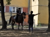 Nauka powodowania koniem to bardzo ważna lekcja dla osób z niepełnosprawnością. Fot. Klub Gaja.