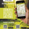 Drzewa z Klimatem -QR Code